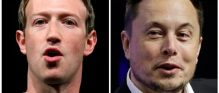 Zuckerberg och Musk redo att fajtas i buren