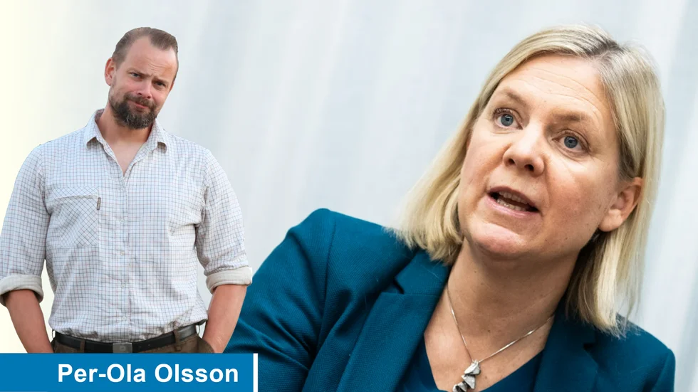 Partiledare Magdalena Andersson måste nu ta kommandot och ta tillbaka kontrollen över sitt parti.