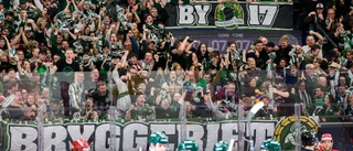 Landslagsmålvakt klar för SHL-nykomlingen