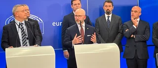 SD anför ytterhöger mot asylpakt