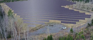 Tekniska verken får bygga solcellspark utanför Linghem