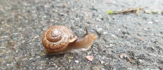 Dagens läsarbild