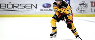 Luleåstjärnan efter förlusten mot LHC: "Vi möter ett igelkottförsvar" 