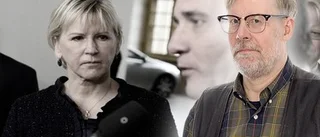 Mer huvudvärk för Stefan Löfven