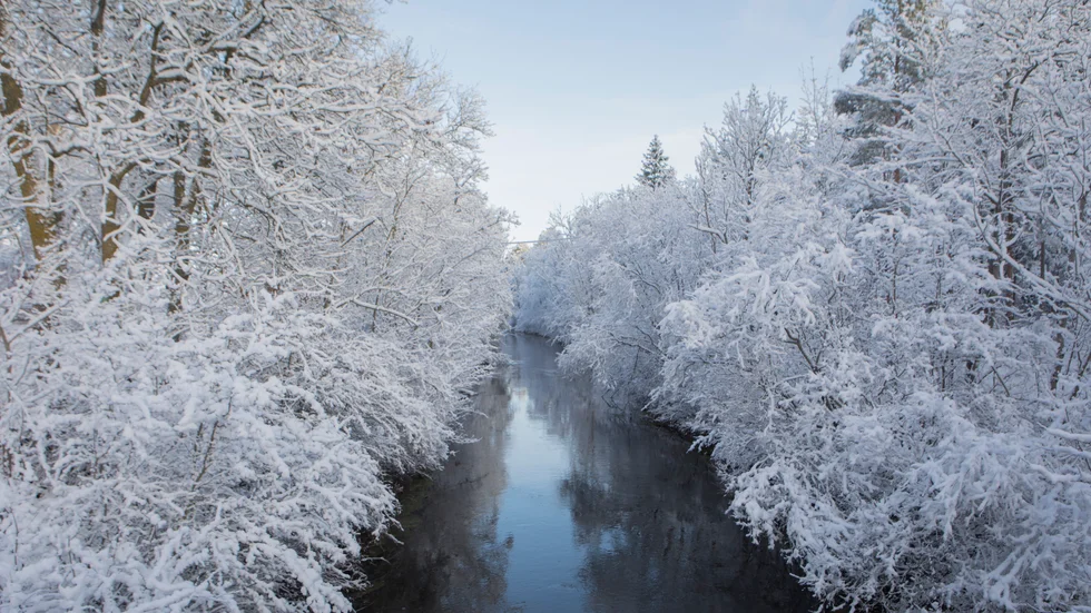 Snö och vinter på Gotland.