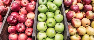 Knivman "skulle skära frukt" – döms
