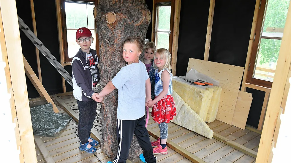 Runt en tall. "Vi ska spara träkojans golv som ska bli en indiankoja", säger Jonathan Lingren. Kompisarna Christian Wallström, Wendela Wallström och lillasyster Elvina Lindgren har hjälpt till att bygga kojan. Foto: Jeanette Lövgren.