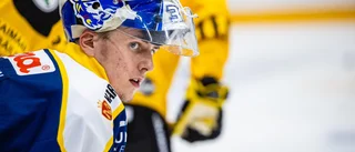 Avslöjar: Här är VIK:s värvning på transferfönstrets sista dag 