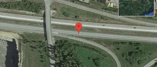 Rådjur på vägen på E20