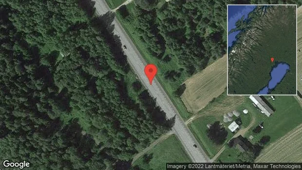 Gris på vägen på väg 97