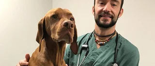 Ny veterinärklinik