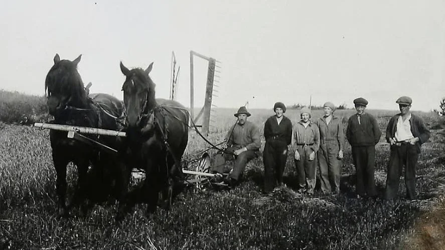 Gammal bild. Det är inte bara porträttbilder man kan hitta i Regna hembygdsförening på Arkiv Digital. Bilden från Rullebacka.