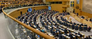 Karin Pihl: Demokrati mer än fina hashtags