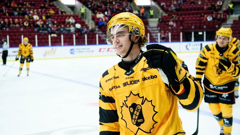 Elias Stenman, Skellefteå AIK