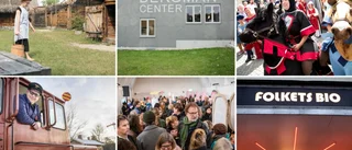 Miljonregn över gotländska kulturaktörer