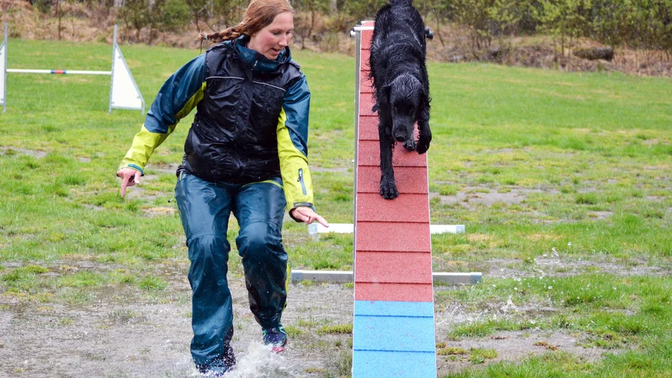 Säkra. Veronica Hådén och Rolex känner varandra väl vid det här laget. Foto: Susanne Lindberg.