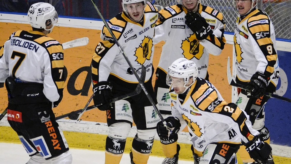 STOCKHOLM 2014-11-20 Skellefteås Erik Andersson, (nr 2) jublar med lagkamraterna efter sitt 0-1 mål under torsdagens ishockeymatch i SHL mellan Djurgården Hockey och Skellefteå AIK på Hovet i Stockholm. Foto: Janerik Henriksson / TT / kod 10010
