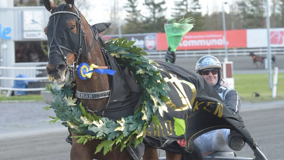 Nahar visade sin klass i Guldbjörken. Foto: Kanal 75 Foto: Leif Norberg.