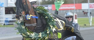 Premier Kronos femma med galopp