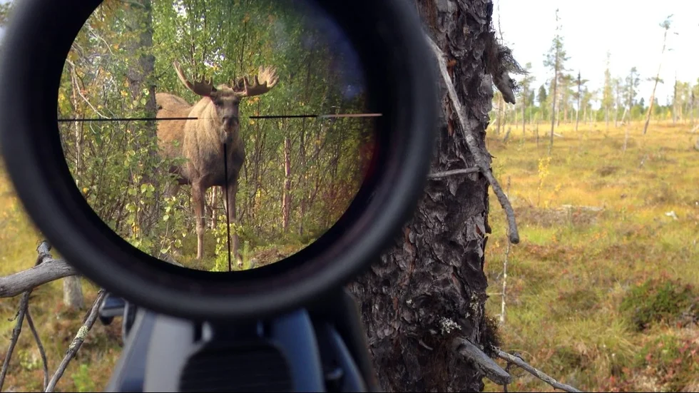 Vad är det som syns i kikarsiktet? FOTO: Johan Karlberg