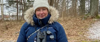 Här är menyn som lockar fåglarna till bords – ornitologen Maria Barkell, 41, tipsar: "Jag upptäckte en ny värld