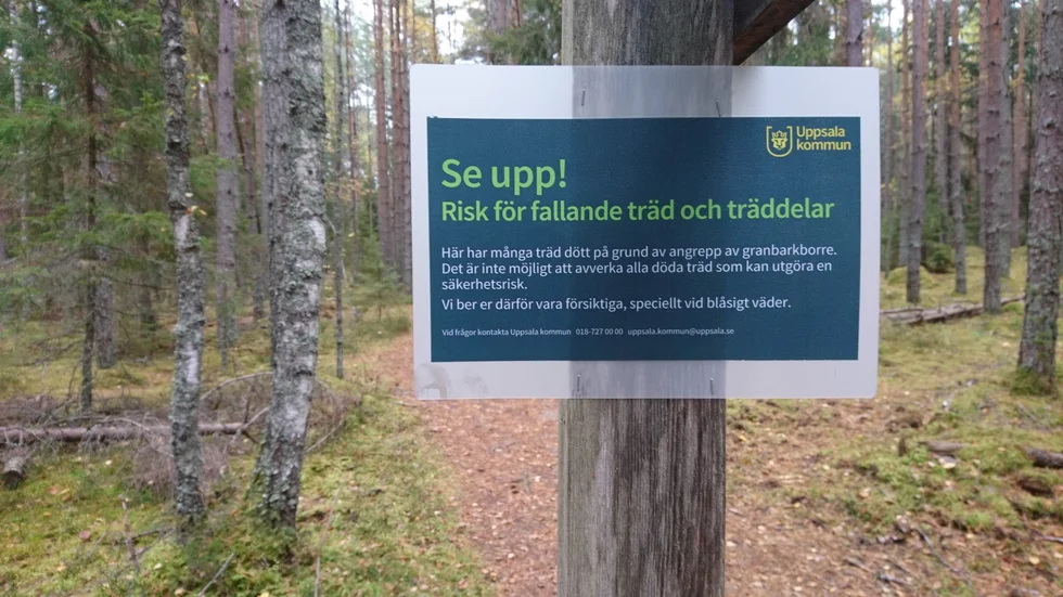 Det finns anledning till självkritik kring orsakerna till grandöden anser insändarskribenten.