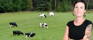 Dags att kasta sig ut på sommarbete? 