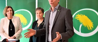 Miljöpartiet längtar till Tyskland