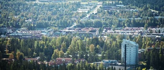 Region Västerbotten sätts under lupp