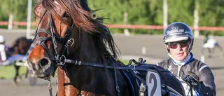 Fem Skelleftehästar i V75