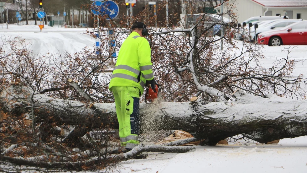 Sala backe storm malik apelgatan
