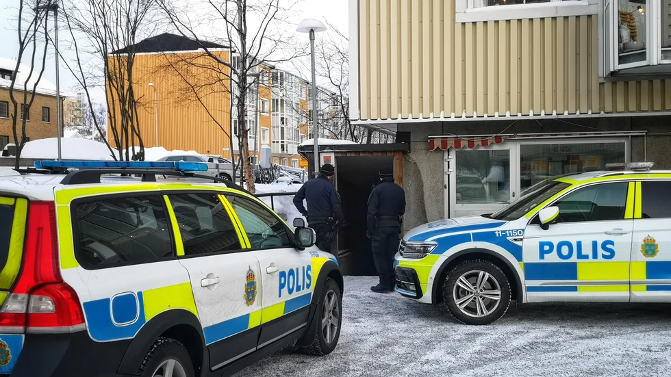 Två män i 20-årsåldern häktades på lördagen missänkta för rån och grov misshandel. 
