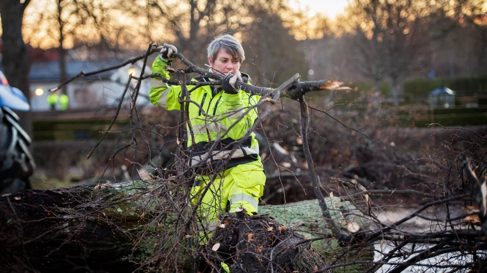 Cajsa Linde på parkavdelningen i Nyköping är förvånad att det inte faller fler träd vid dessa kraftiga vindar.
