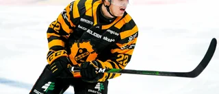 Skellefteå AIK:s tålamod betalar tillbaka igen – när Johnson stannar