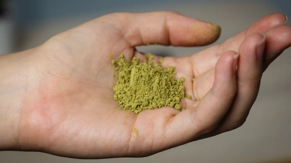 Den beroendeframkallande växtdrogen kratom narkotikaklassas av regeringen. Arkivbild.