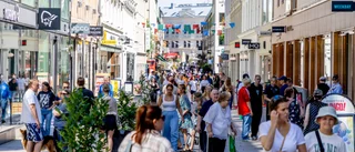 SEB och Swedbank: Två räntesänkningar till