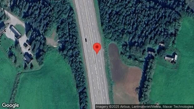 Trafikverket varnar för älgar på vägen på E4