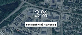 Resultatlyft för Bilhallen i Piteå AB under senaste året