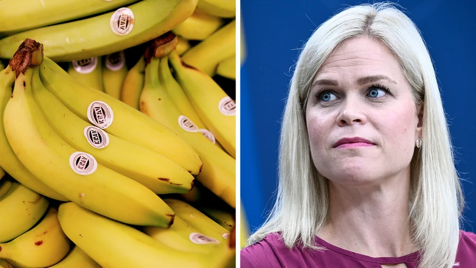 Jämställdhets- och arbetslivsminister Paulina Brandberg (L) har fått uppmärksamhet den senaste veckan för sin bananfobi. Arkivbilder.