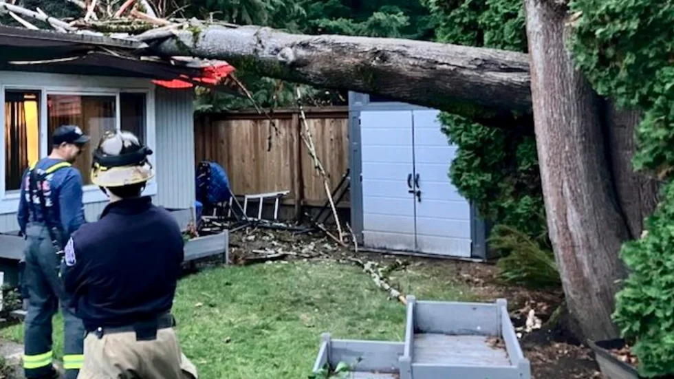 Räddningstjänst på plats i Issaquah, Washington sedan ett träd vält över ett hus.