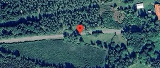 Nedfallna träd påverkar trafiken på väg 538