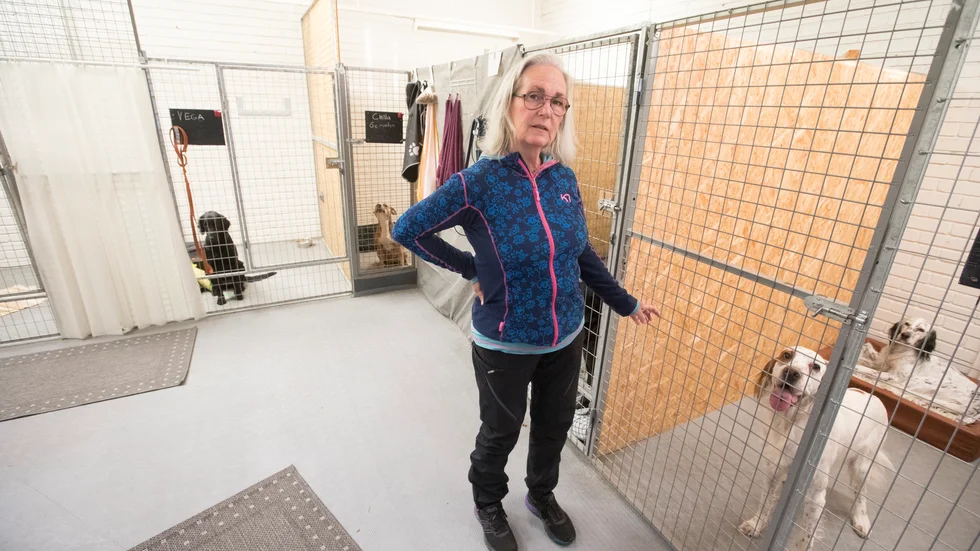 Dystra tider. I slutet av januari tvingas Anneli Engfors avveckla företaget Luleå hundcenter, eftersom fastigheten ska rivas.
