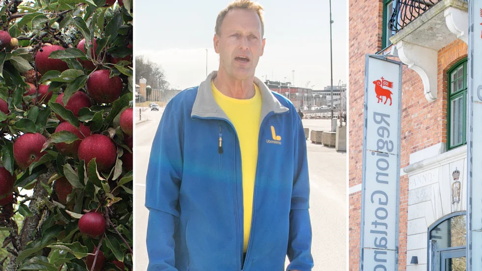 Frans Brozén (L) är kritisk till att regionen köper in äpplen från utlandet när de gotländska fruktträden dignar av frukt.