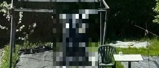 Skamlösa (?) hånet mot grannarna