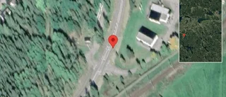 Trafikverket varnar för älg på vägen på väg 32
