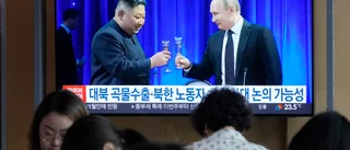 Nordkoreansk soldat talar om stora förluster