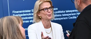 Regeringen borde vända på steken