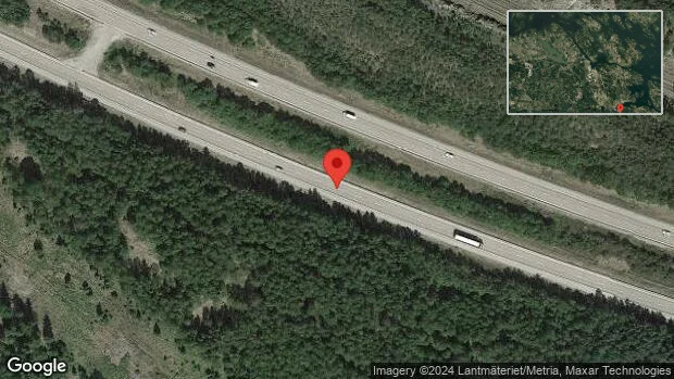 Vilt i olycka på E20 – stopp i ett körfält