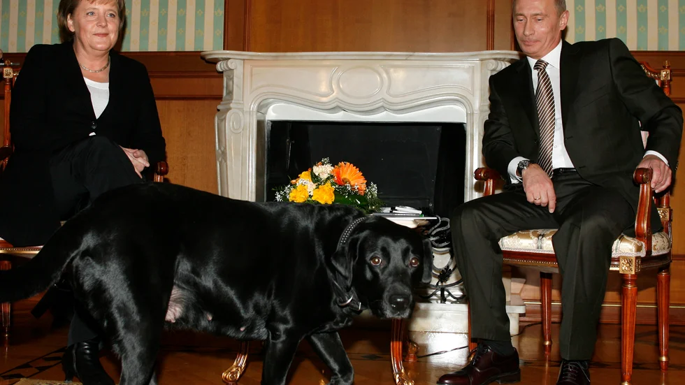 Tysklands förbundskansler Angela Merkel, Rysslands president Vladimir Putin och den senares labrador Koni i Sotji 2007.