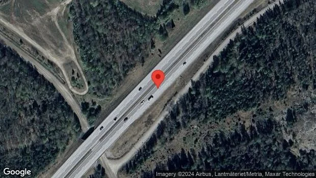 Varning för älg på vägen på E20